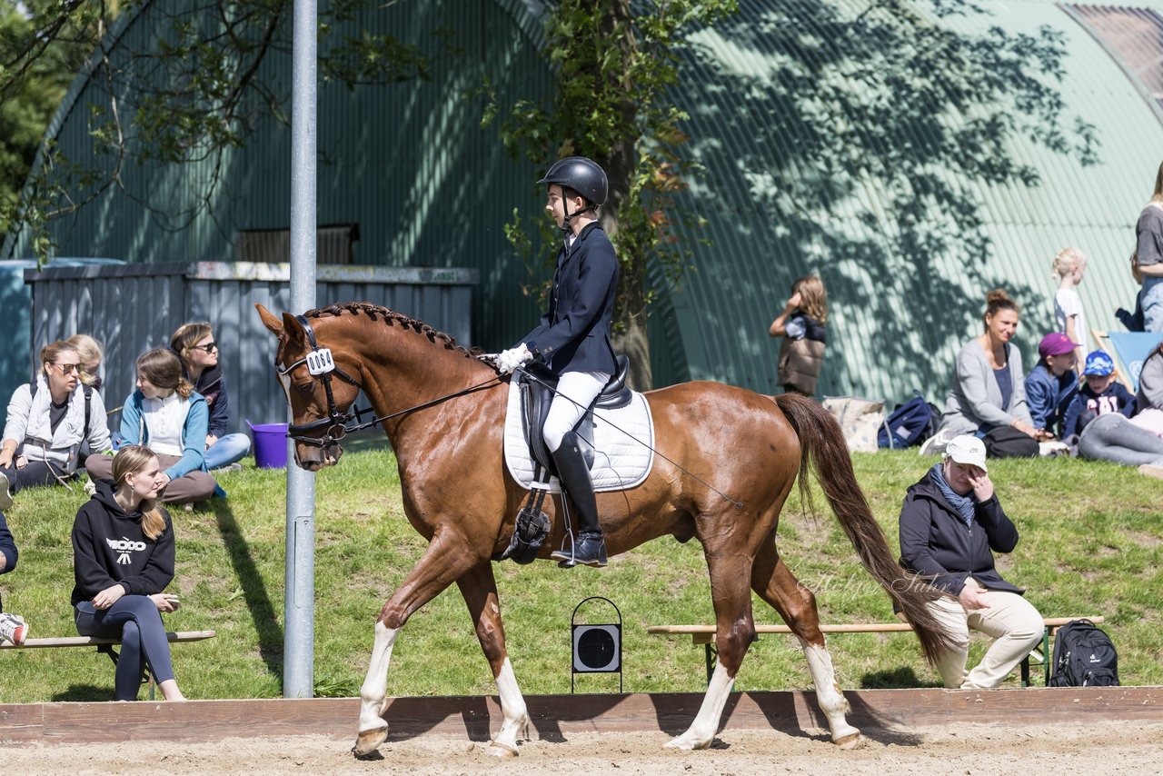 Bild 143 - Pony Akademie Turnier